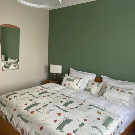 Neue Mit Terrasse Appartamento Guteborn